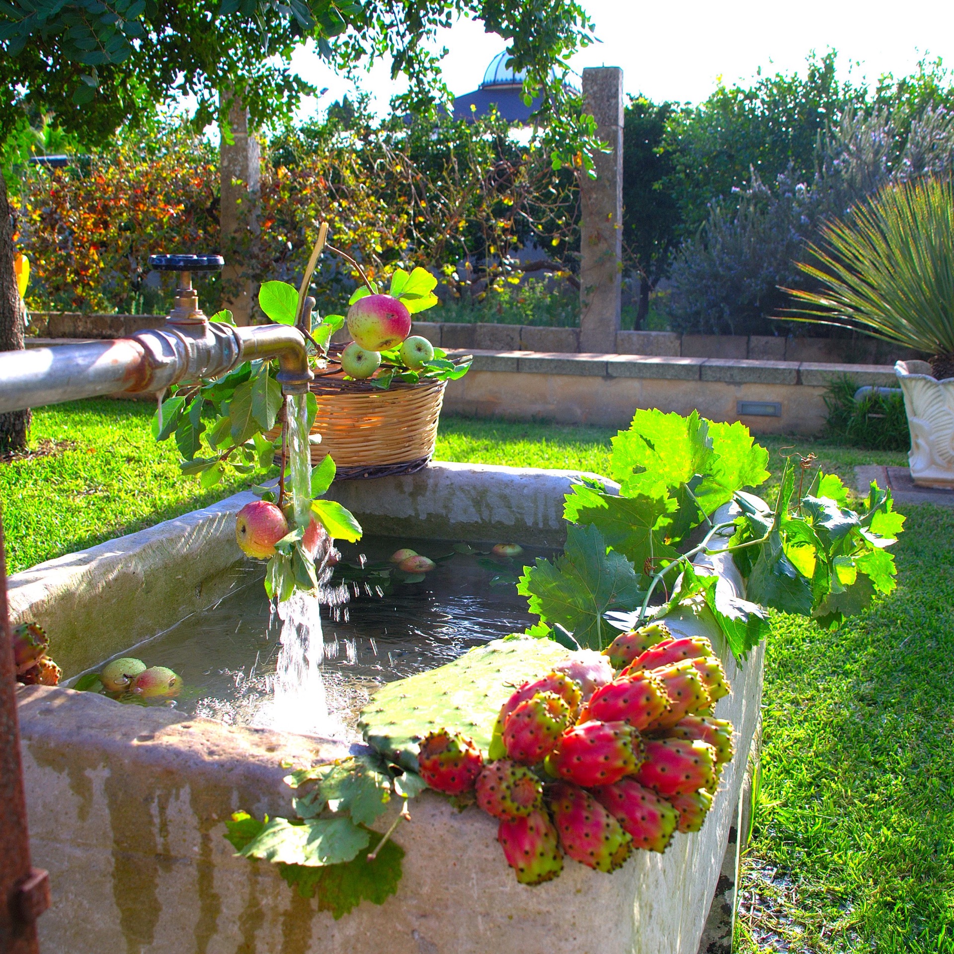 Angolo di natura con fontana e frutti di stagione
