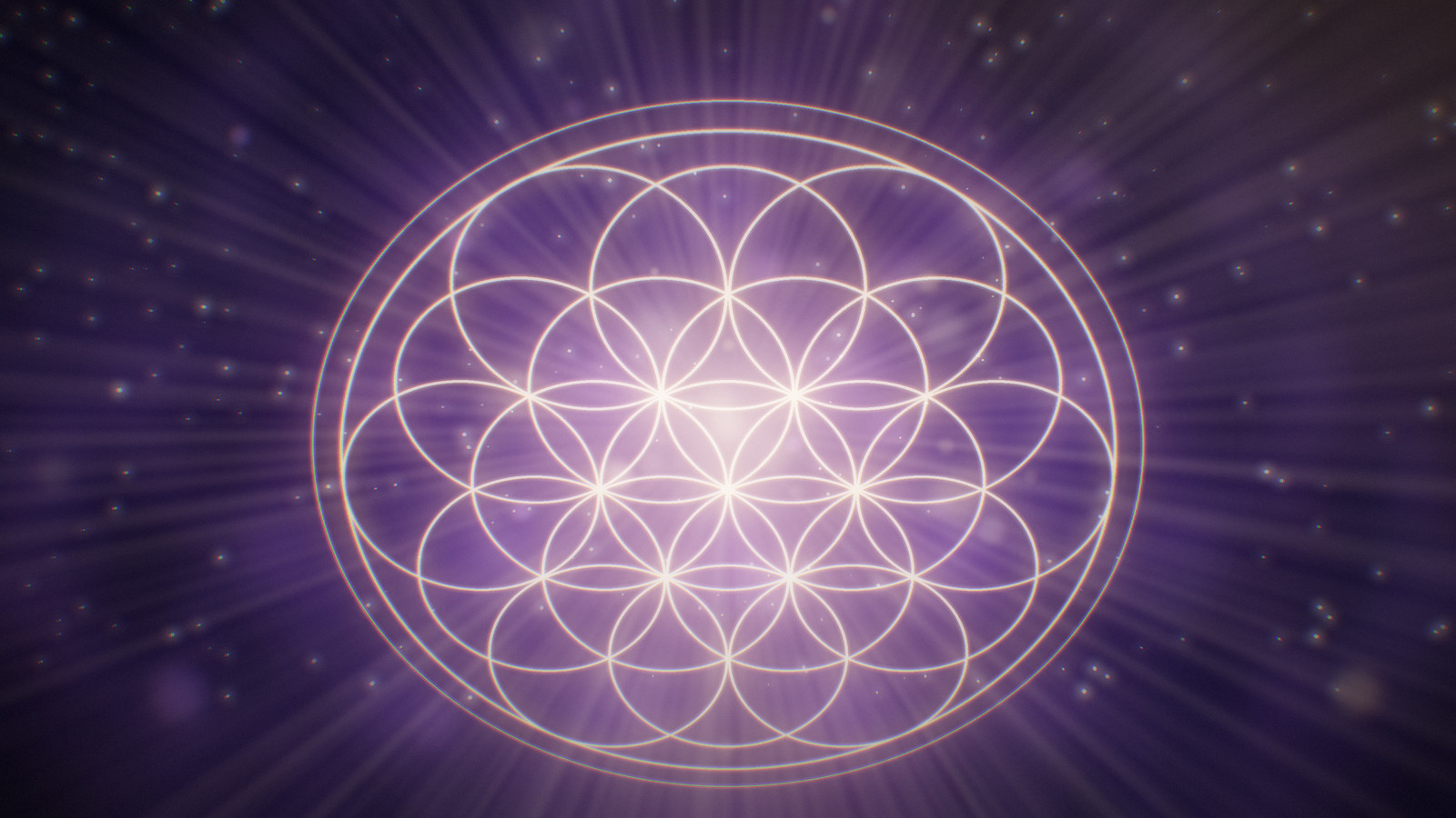 Fiore della Vita in oro su viola: il visual delle sessioni di reiki e dei consulti astrologici della Masseria Montanari nel Salento
