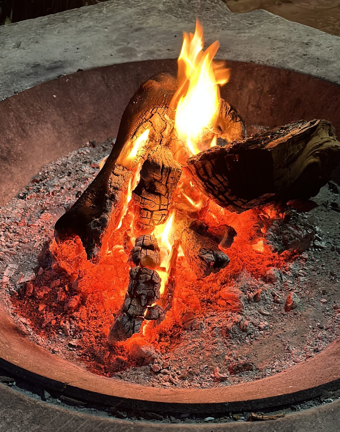 BBQ e fuoco vivo