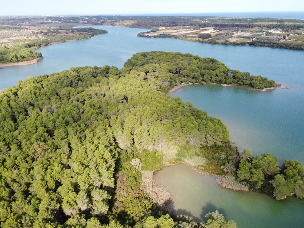 Laghi Alimini